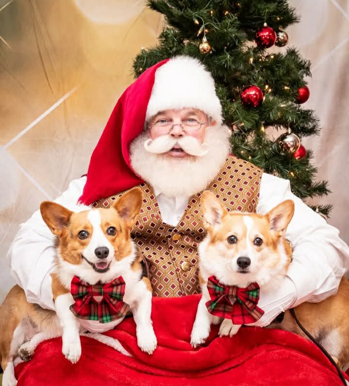 Santa with excited children